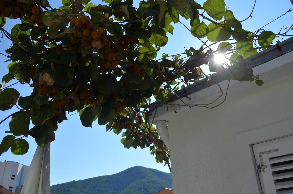 Casablanca Apartments Budva Exterior photo